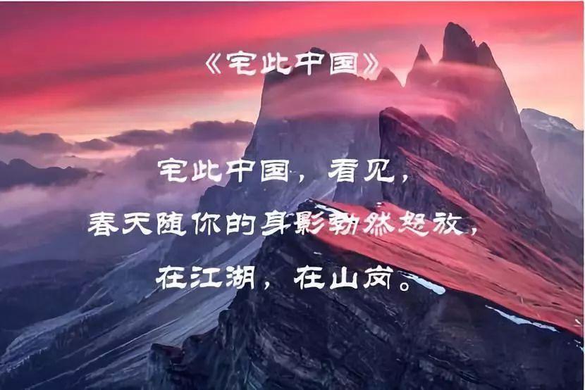 可爱小猫向上跳